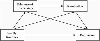 Influence of Childhood Family Routines on Adult Depression: A Cross Sectional Study